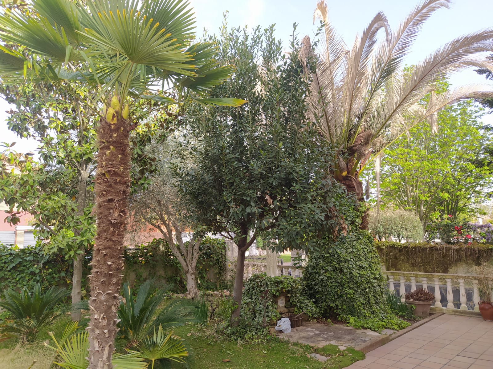 galeria_3