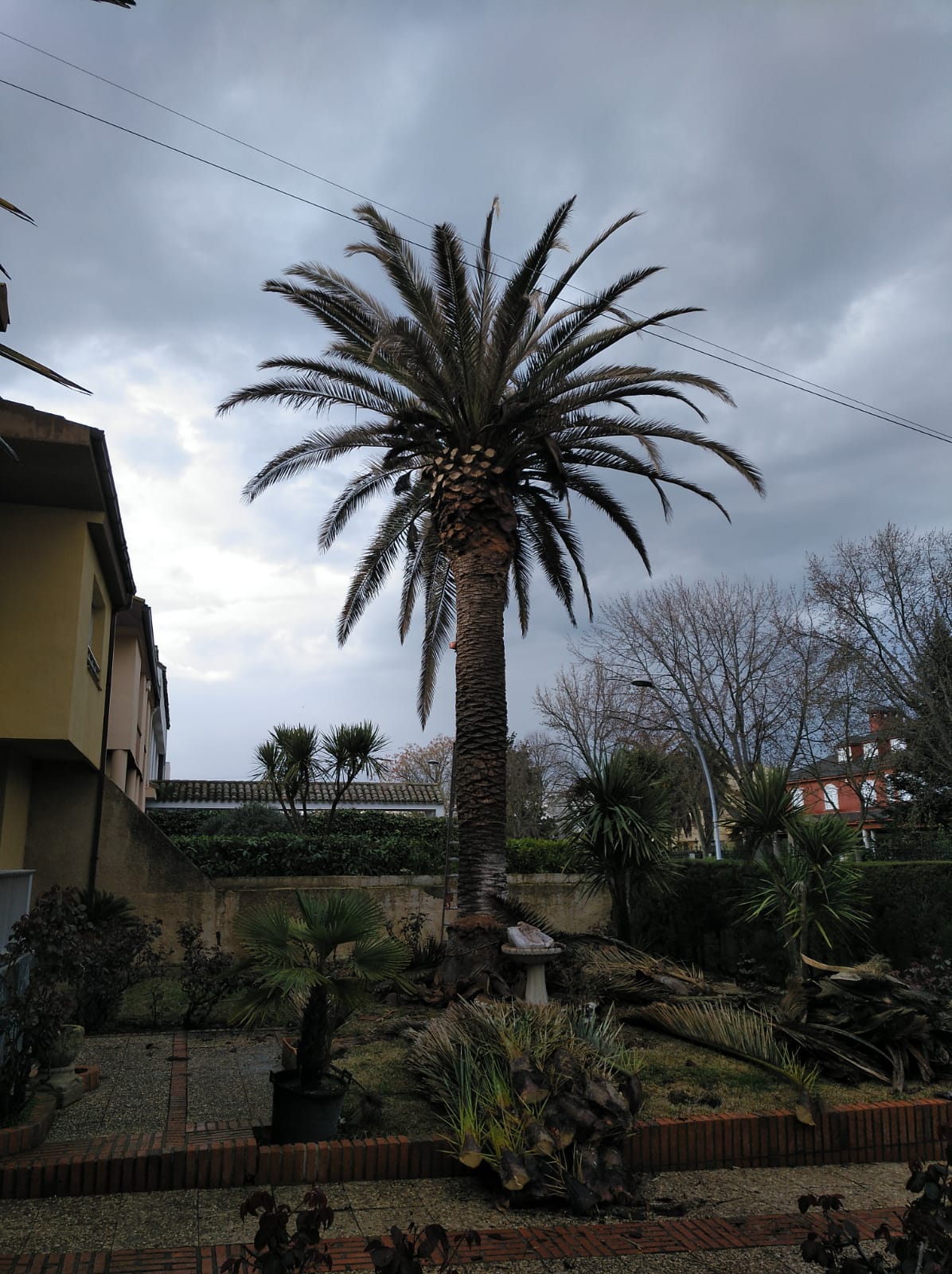 limpieza de jardines