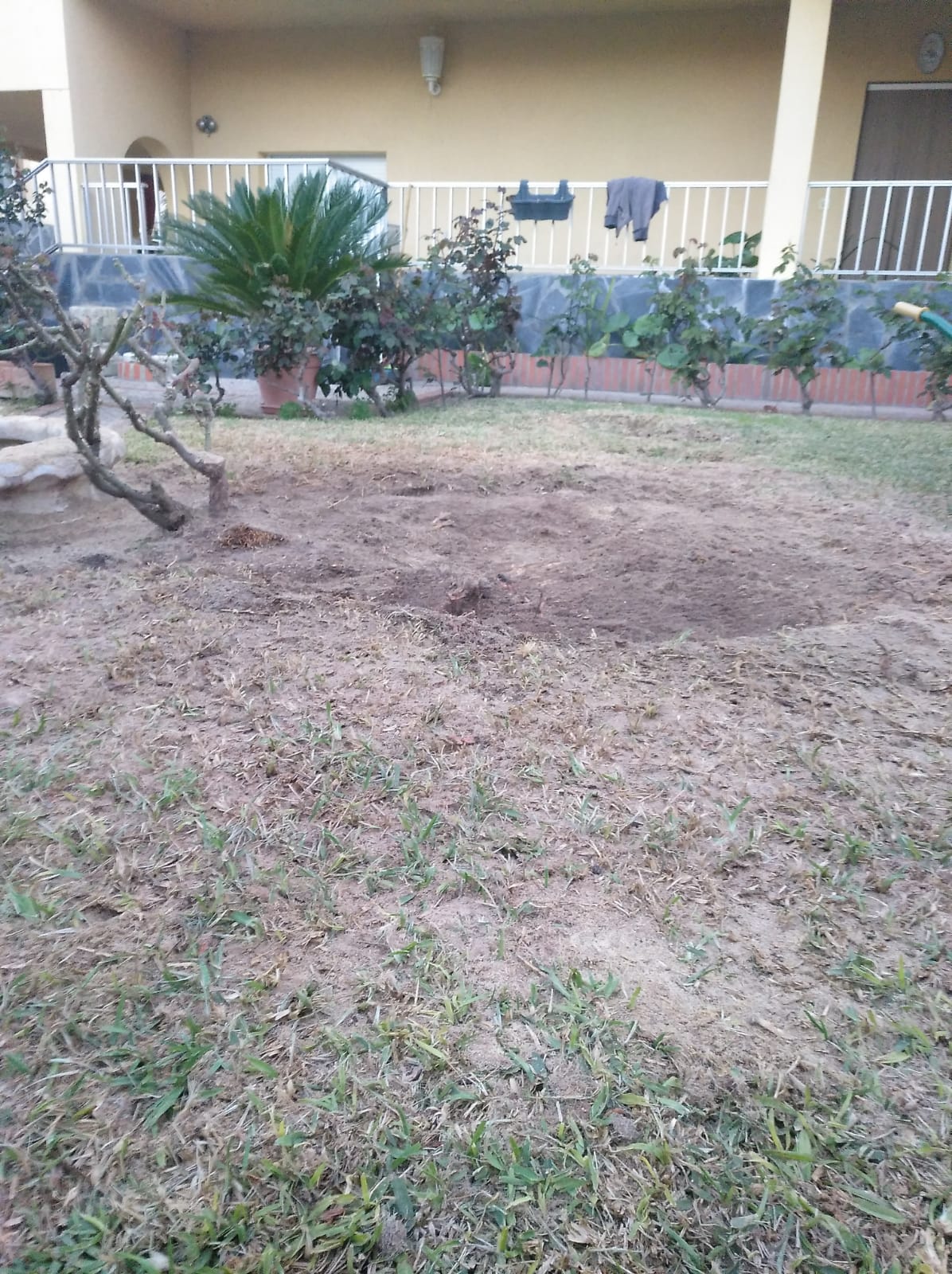 limpieza de jardines