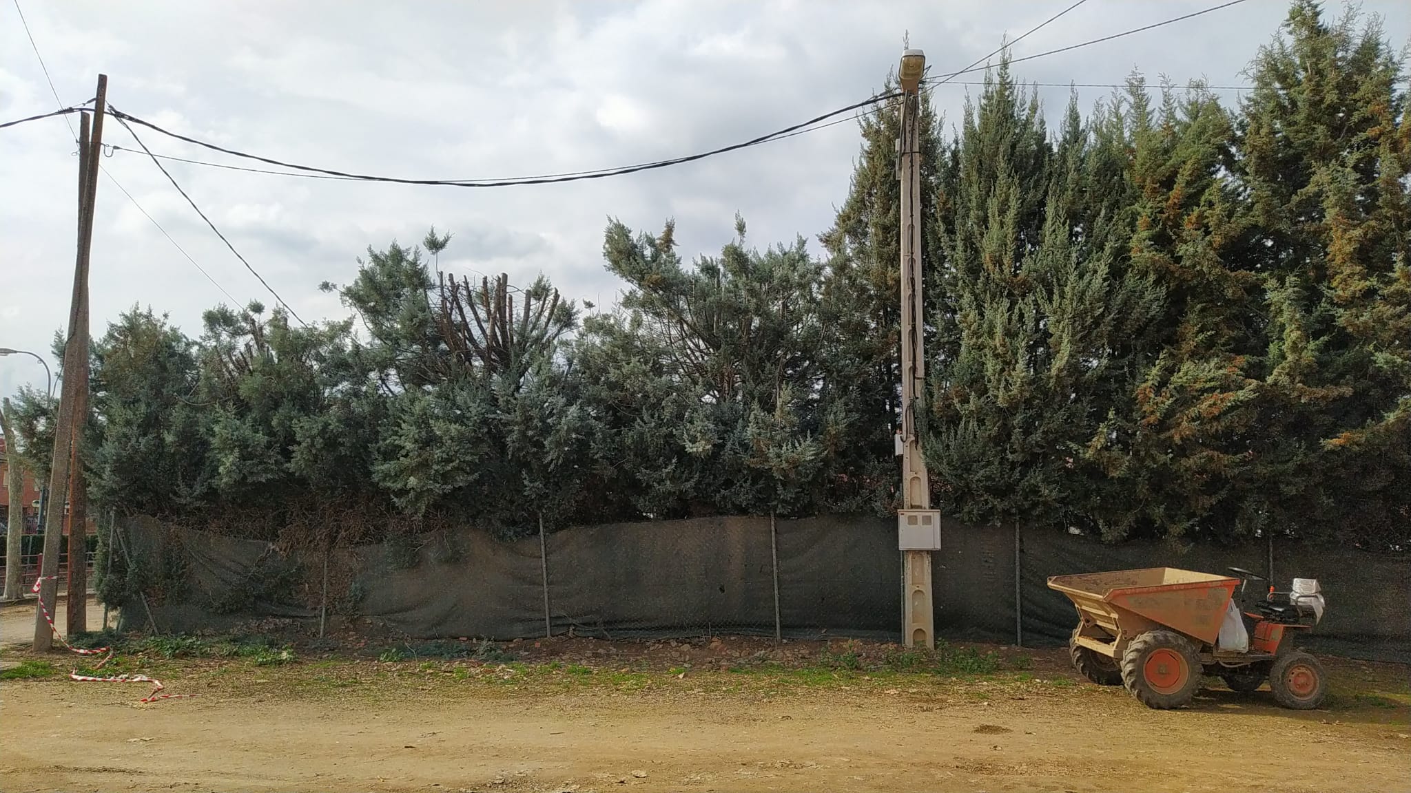 limpieza de jardines